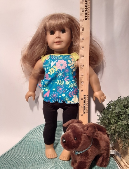 American Girl Doll and Dog Puppy - Picture 3 of 7